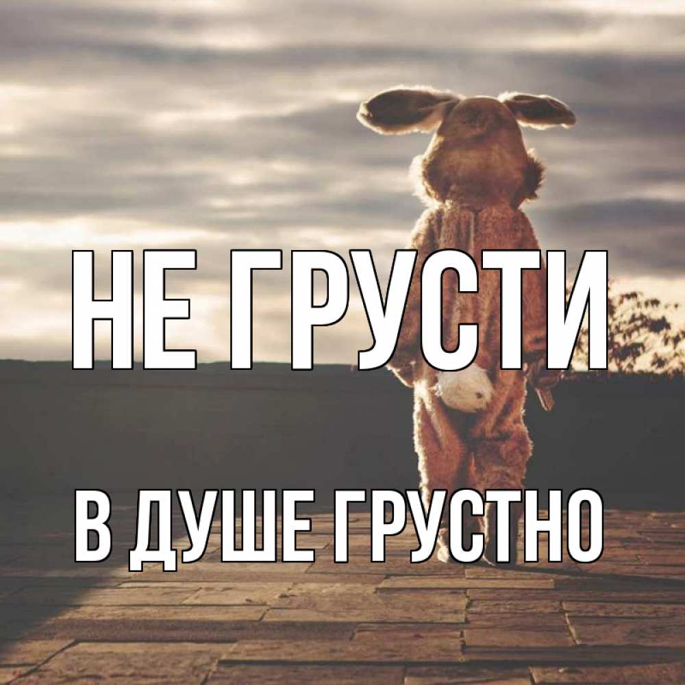 Открытка на каждый день с именем, В-душе-грустно Не грусти со спины Прикольная открытка с пожеланием онлайн скачать бесплатно 