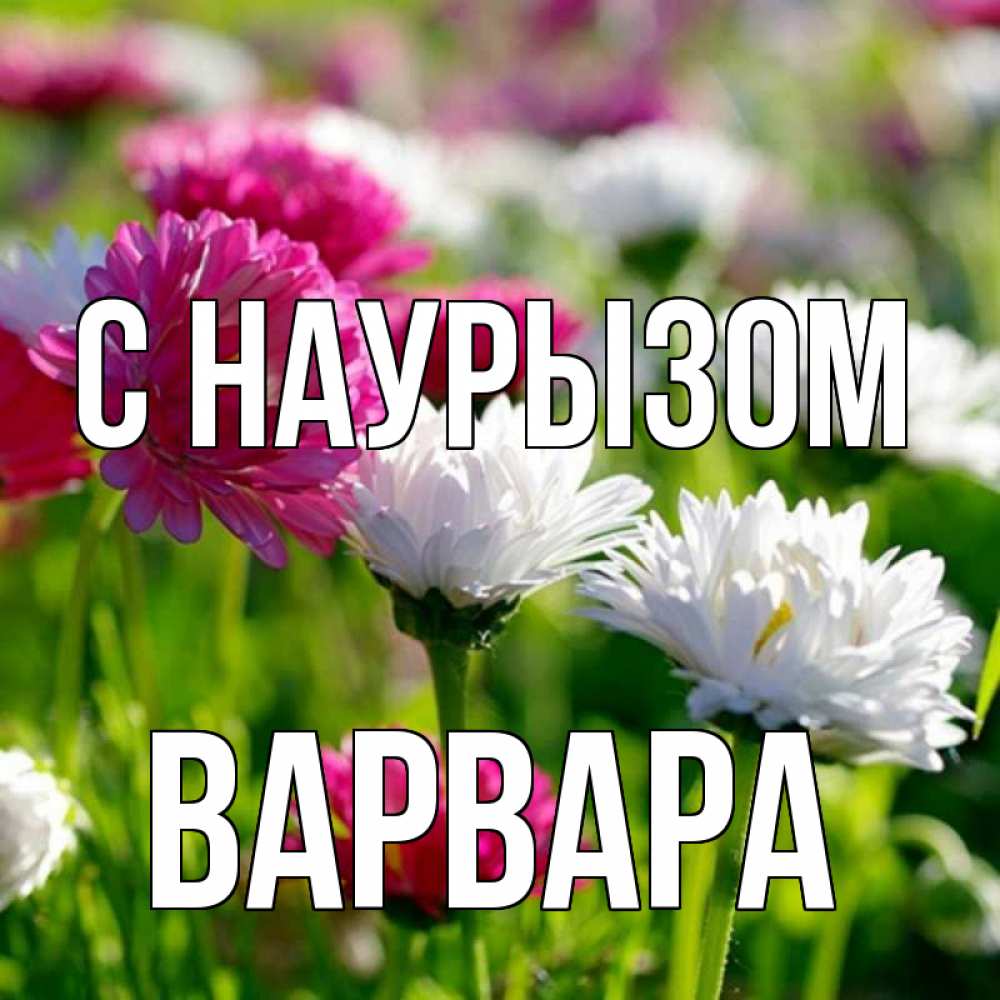 Открытка на каждый день с именем, Варвара С наурызом праздник весны наурыз красота Прикольная открытка с пожеланием онлайн скачать бесплатно 