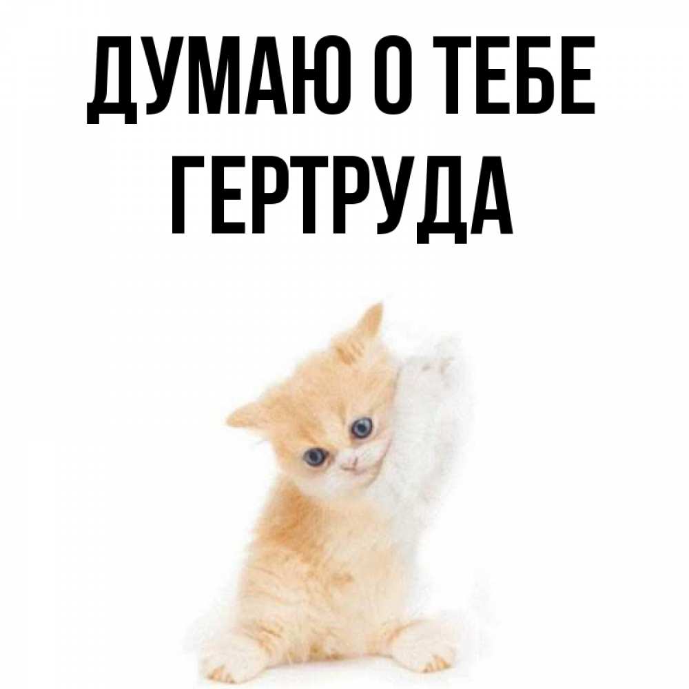 Открытка на каждый день с именем, Гертруда Думаю о тебе зверушки и милота Прикольная открытка с пожеланием онлайн скачать бесплатно 