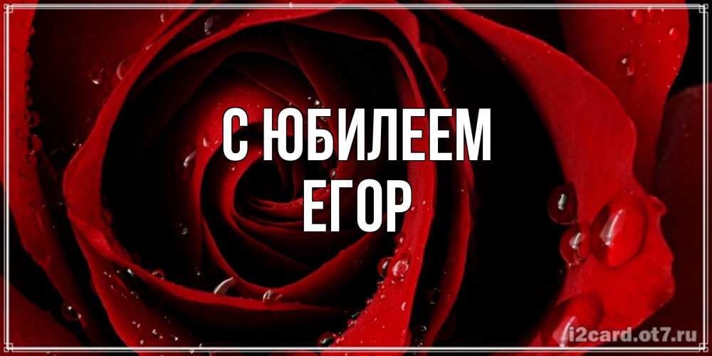 Открытка на каждый день с именем, Егор С юбилеем крупная бордовая роза Прикольная открытка с пожеланием онлайн скачать бесплатно 