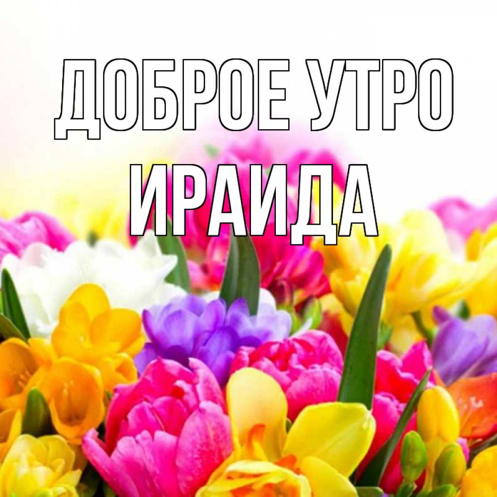 Открытка на каждый день с именем, Ираида Доброе утро создать открытку со свое подписью Прикольная открытка с пожеланием онлайн скачать бесплатно 