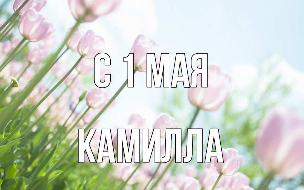 Открытка на каждый день с именем, Камилла С 1 мая С 1 мая Прикольная открытка с пожеланием онлайн скачать бесплатно 