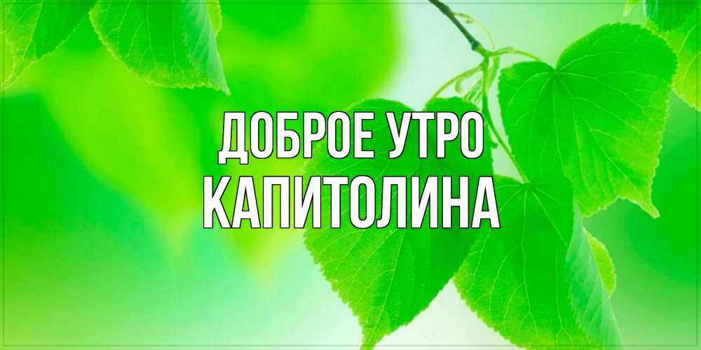 Открытка на каждый день с именем, Капитолина Доброе утро доброе утро с березовыми листьями Прикольная открытка с пожеланием онлайн скачать бесплатно 