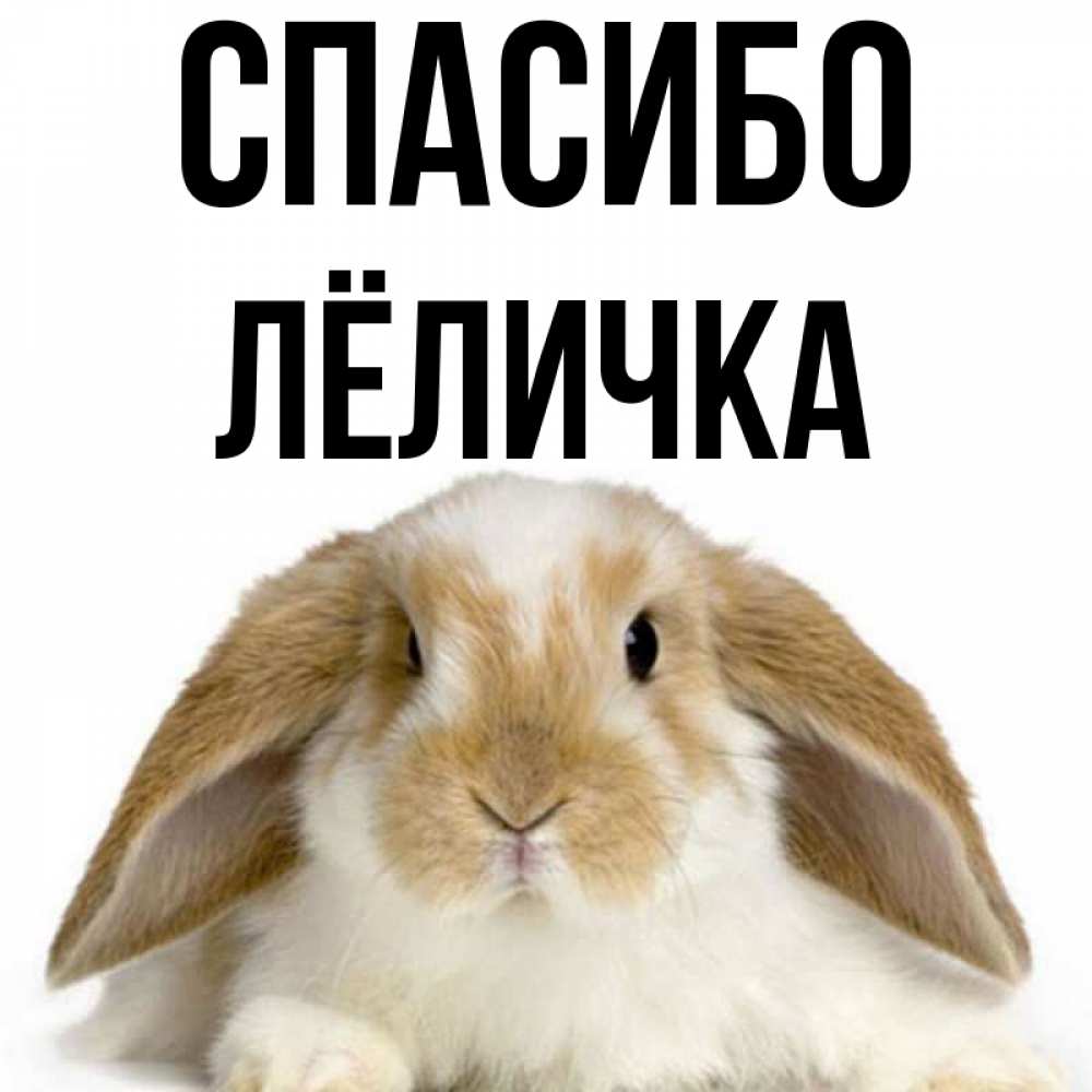 Картинки Дениска