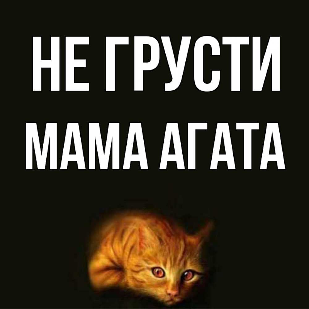 Открытка на каждый день с именем, Мама-Агата Не грусти лежащий кот в темноте Прикольная открытка с пожеланием онлайн скачать бесплатно 