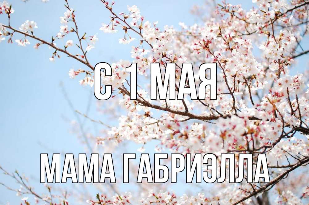 Открытка на каждый день с именем, Мама-Габриэлла С 1 мая С 1 мая Прикольная открытка с пожеланием онлайн скачать бесплатно 