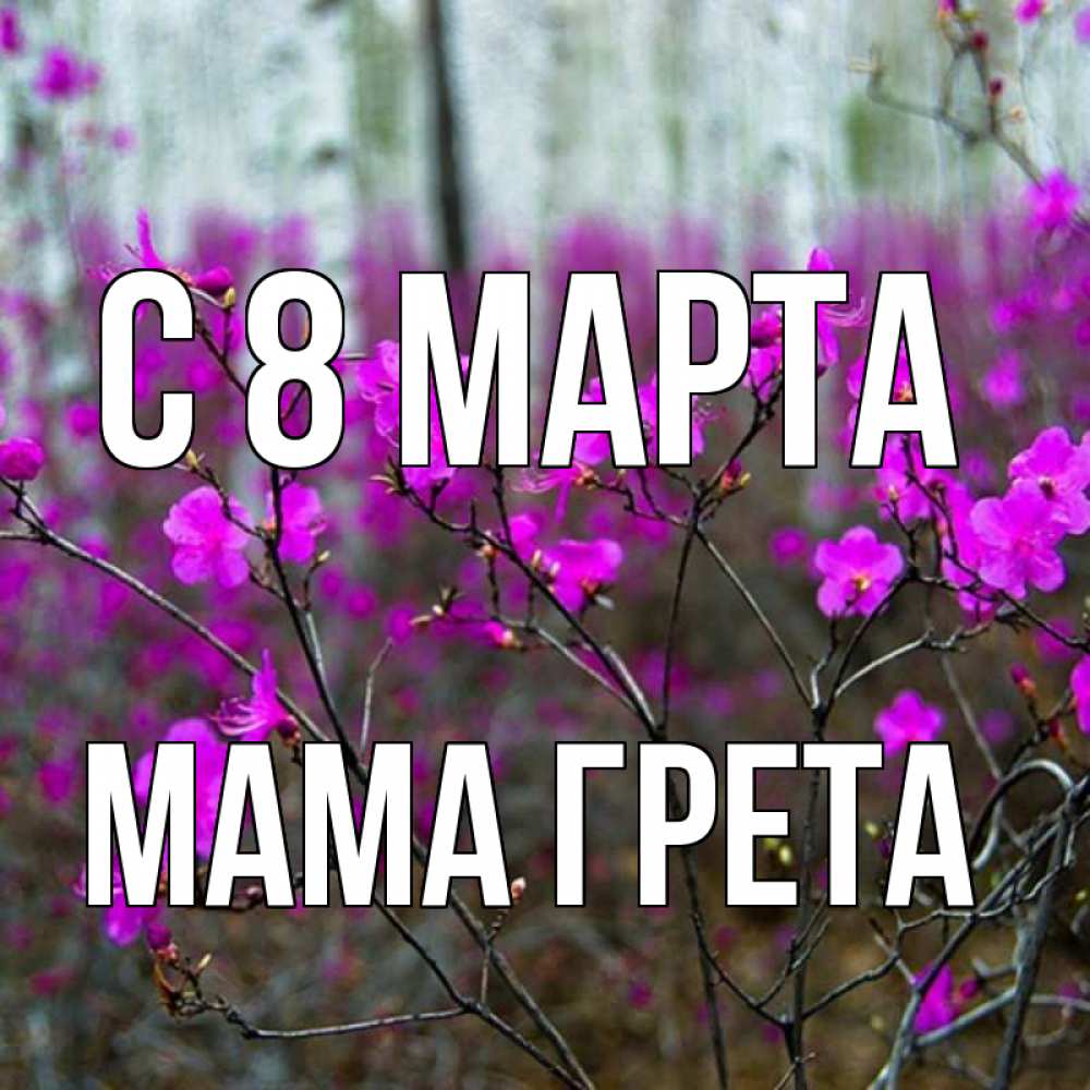 Открытка на каждый день с именем, Мама-Грета С 8 МАРТА дикие цветы Прикольная открытка с пожеланием онлайн скачать бесплатно 