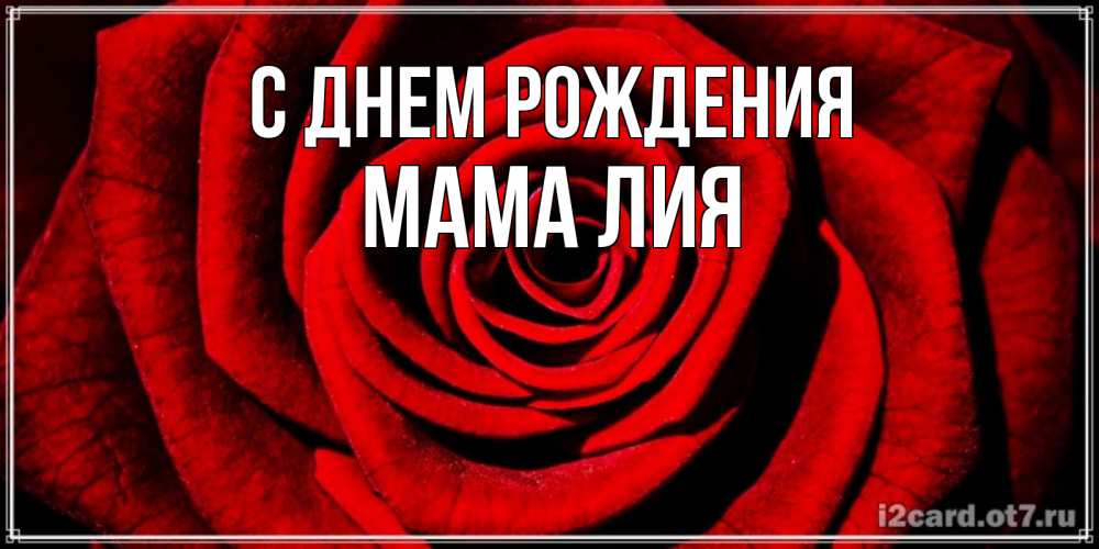 Открытка на каждый день с именем, Мама-Лия С днем рождения алая роза Прикольная открытка с пожеланием онлайн скачать бесплатно 
