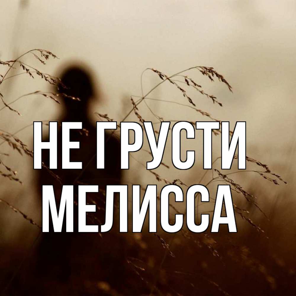 Открытка на каждый день с именем, Мелисса Не грусти грусть Прикольная открытка с пожеланием онлайн скачать бесплатно 