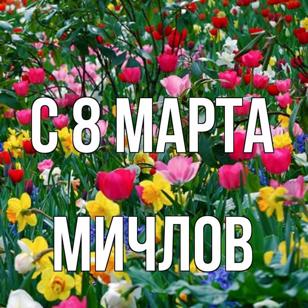 Открытка на каждый день с именем, Мичлов С 8 марта с международным женским днем поздравления для женщины Прикольная открытка с пожеланием онлайн скачать бесплатно 