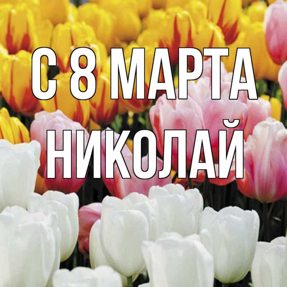 Открытка на каждый день с именем, Николай С 8 марта разноцветные цветы Прикольная открытка с пожеланием онлайн скачать бесплатно 