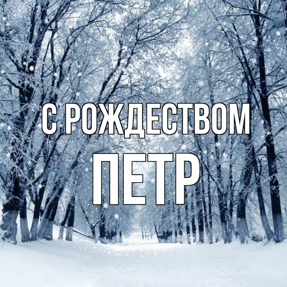Открытка на каждый день с именем, Петр С рождеством снег, лес, парк Прикольная открытка с пожеланием онлайн скачать бесплатно 