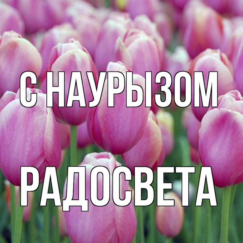 Открытка на каждый день с именем, Радосвета С наурызом праздник весны наурыз 69 Прикольная открытка с пожеланием онлайн скачать бесплатно 
