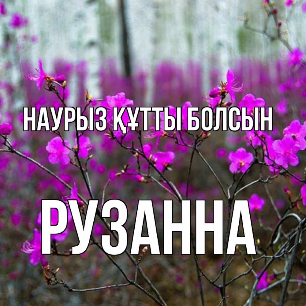 Открытка на каждый день с именем, Рузанна Наурыз құтты болсын дикие цветы Прикольная открытка с пожеланием онлайн скачать бесплатно 