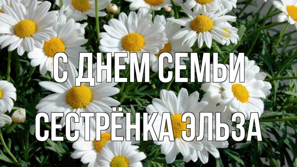 Открытка на каждый день с именем, Сестрёнка-Эльза С днем семьи с днем семьи Прикольная открытка с пожеланием онлайн скачать бесплатно 