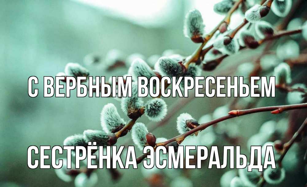 Открытка на каждый день с именем, Сестрёнка-Эсмеральда С вербным воскресеньем верба Прикольная открытка с пожеланием онлайн скачать бесплатно 