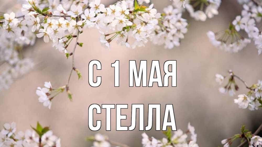 Открытка на каждый день с именем, Стелла С 1 мая С 1 мая Прикольная открытка с пожеланием онлайн скачать бесплатно 