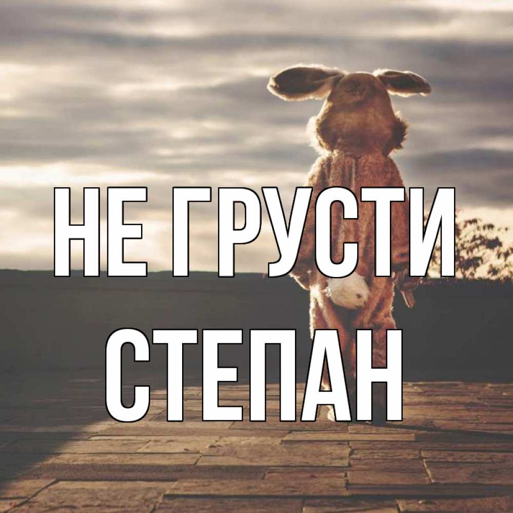 Открытка на каждый день с именем, Степан Не грусти со спины Прикольная открытка с пожеланием онлайн скачать бесплатно 