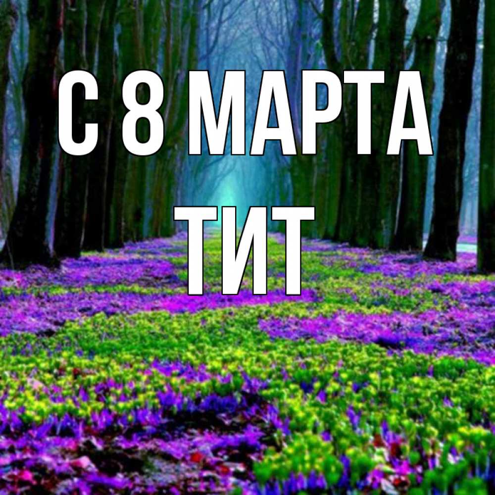 Открытка на каждый день с именем, Тит С 8 МАРТА фиолетовые цветы в лесу 1 Прикольная открытка с пожеланием онлайн скачать бесплатно 