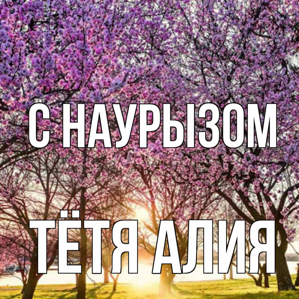 Открытка на каждый день с именем, Тётя-Алия С наурызом праздник весны наурыз Прикольная открытка с пожеланием онлайн скачать бесплатно 