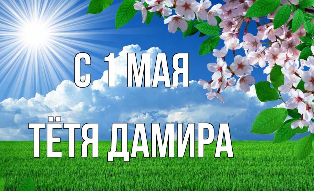 Открытка на каждый день с именем, Тётя-Дамира С 1 мая С 1 мая Прикольная открытка с пожеланием онлайн скачать бесплатно 