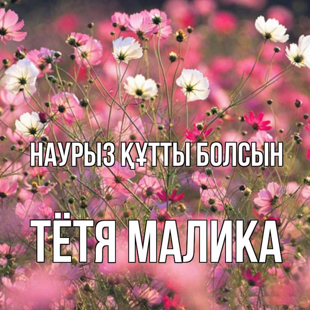 Открытка на каждый день с именем, Тётя-Малика Наурыз құтты болсын красиво 1 Прикольная открытка с пожеланием онлайн скачать бесплатно 