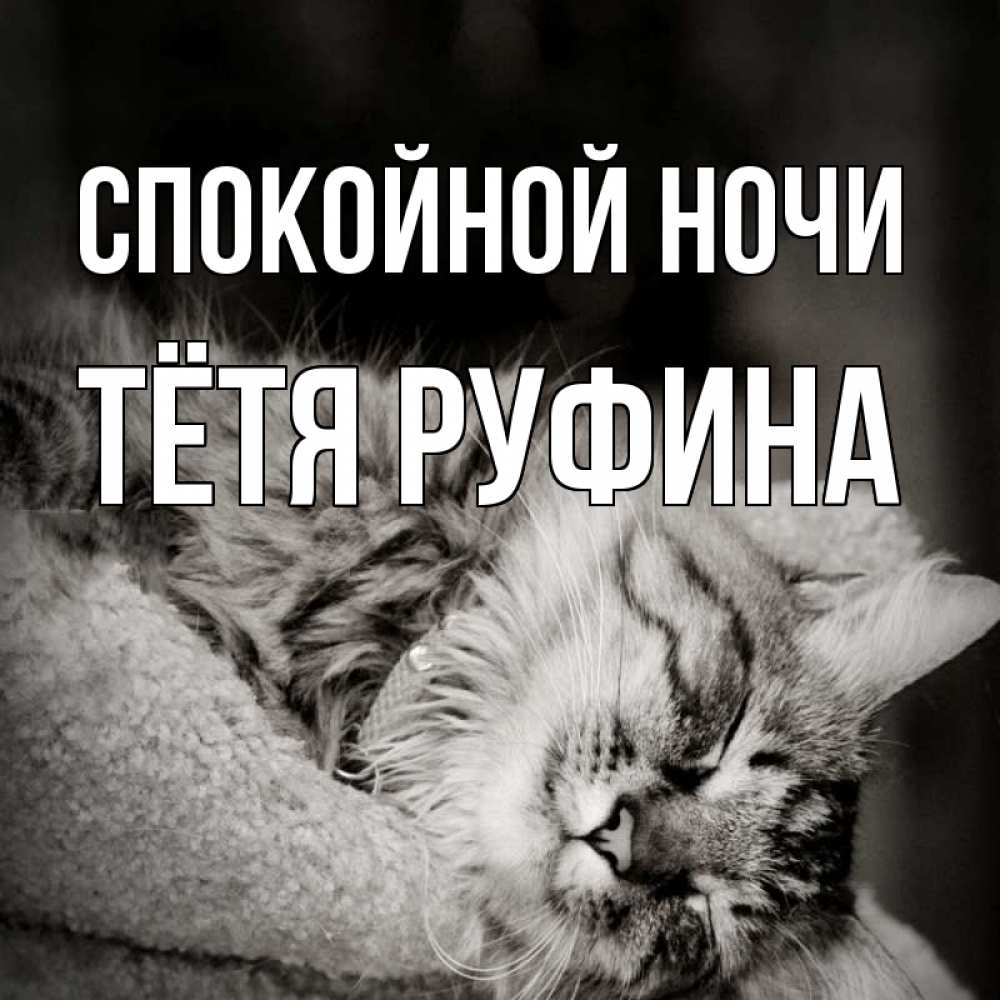 Открытка на каждый день с именем, Тётя-Руфина Спокойной ночи котярик пушистый Прикольная открытка с пожеланием онлайн скачать бесплатно 