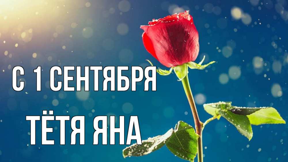 Открытка на каждый день с именем, Тётя-Яна С 1 сентября с днем знаний Прикольная открытка с пожеланием онлайн скачать бесплатно 