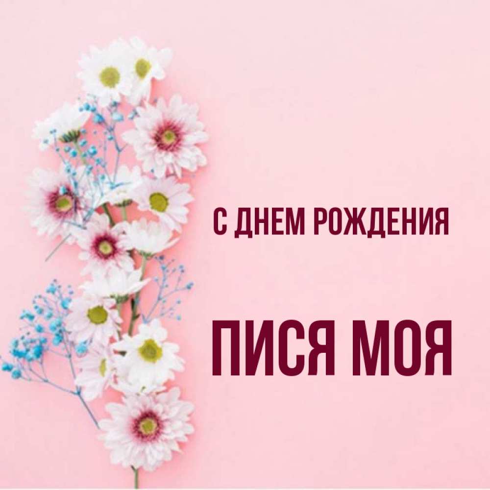 Открытка на каждый день с именем, пися-моя С днем рождения Родная моя с днем рождения тебя картинка с цветами белыми и голубыми Прикольная открытка с пожеланием онлайн скачать бесплатно 