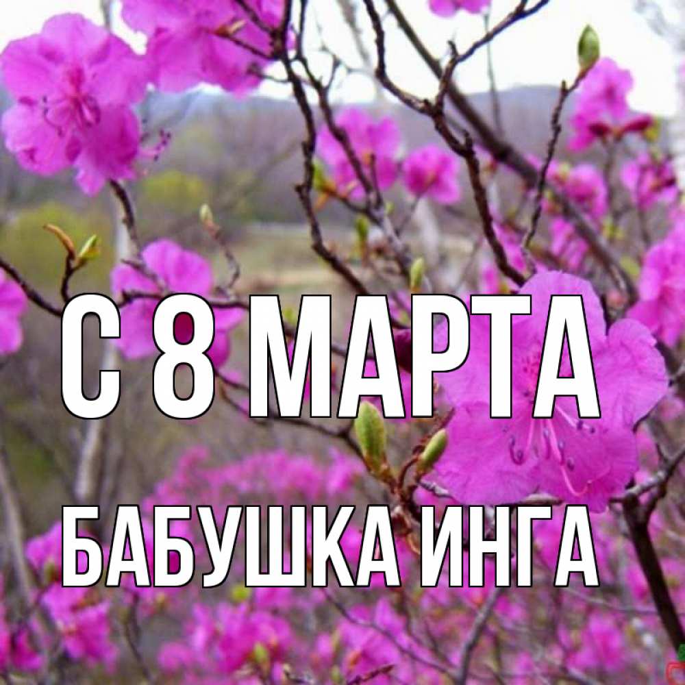 Открытка на каждый день с именем, Бабушка-Инга С 8 МАРТА международный женский день Прикольная открытка с пожеланием онлайн скачать бесплатно 