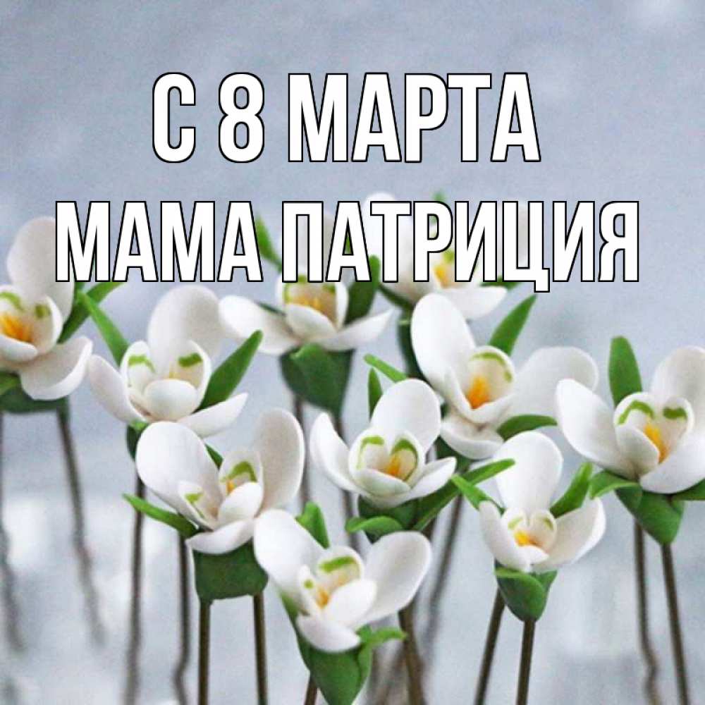 Открытка на каждый день с именем, Мама-Патриция С 8 МАРТА весенние цветы Прикольная открытка с пожеланием онлайн скачать бесплатно 