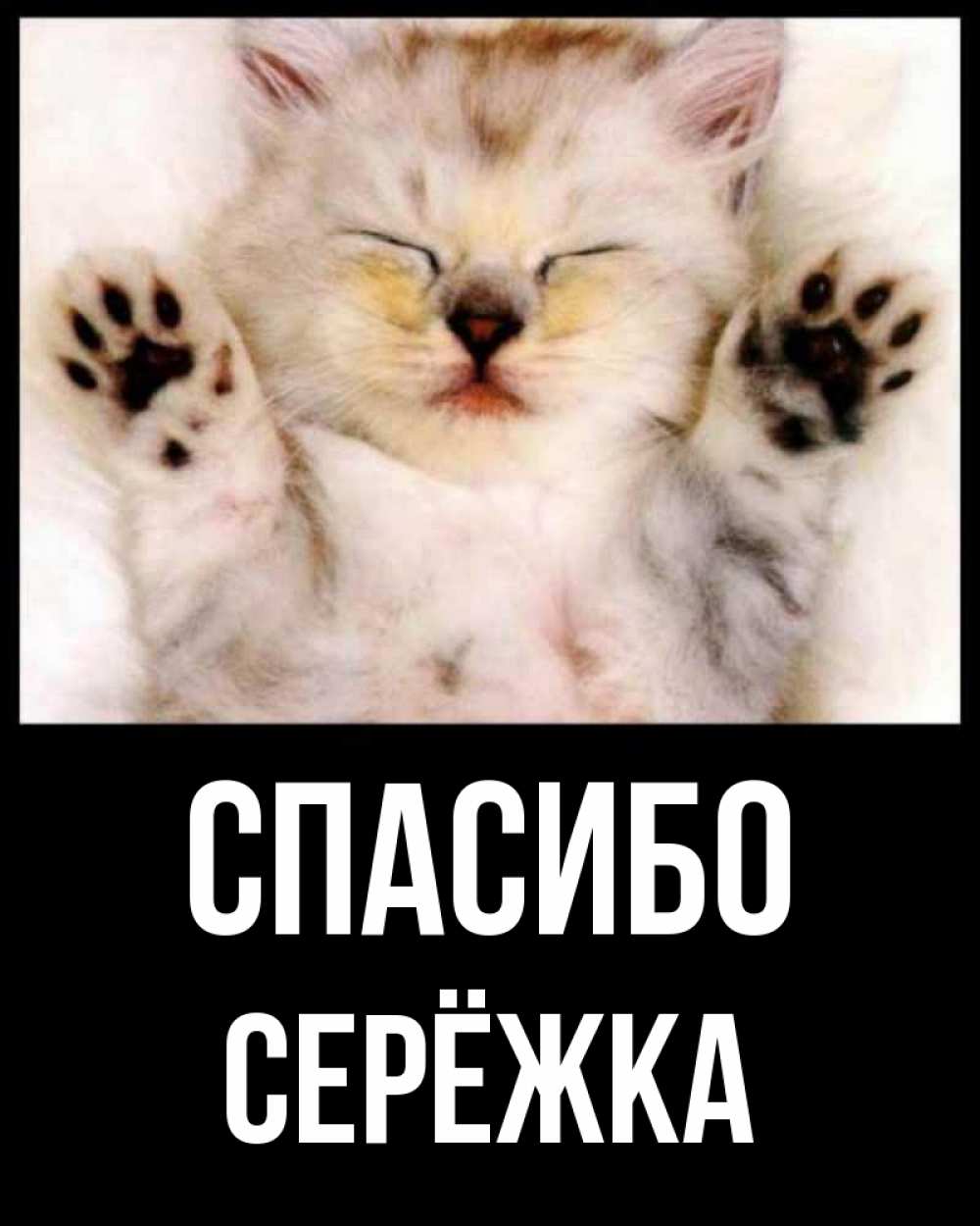 Картинка Спасибо, Серёжка