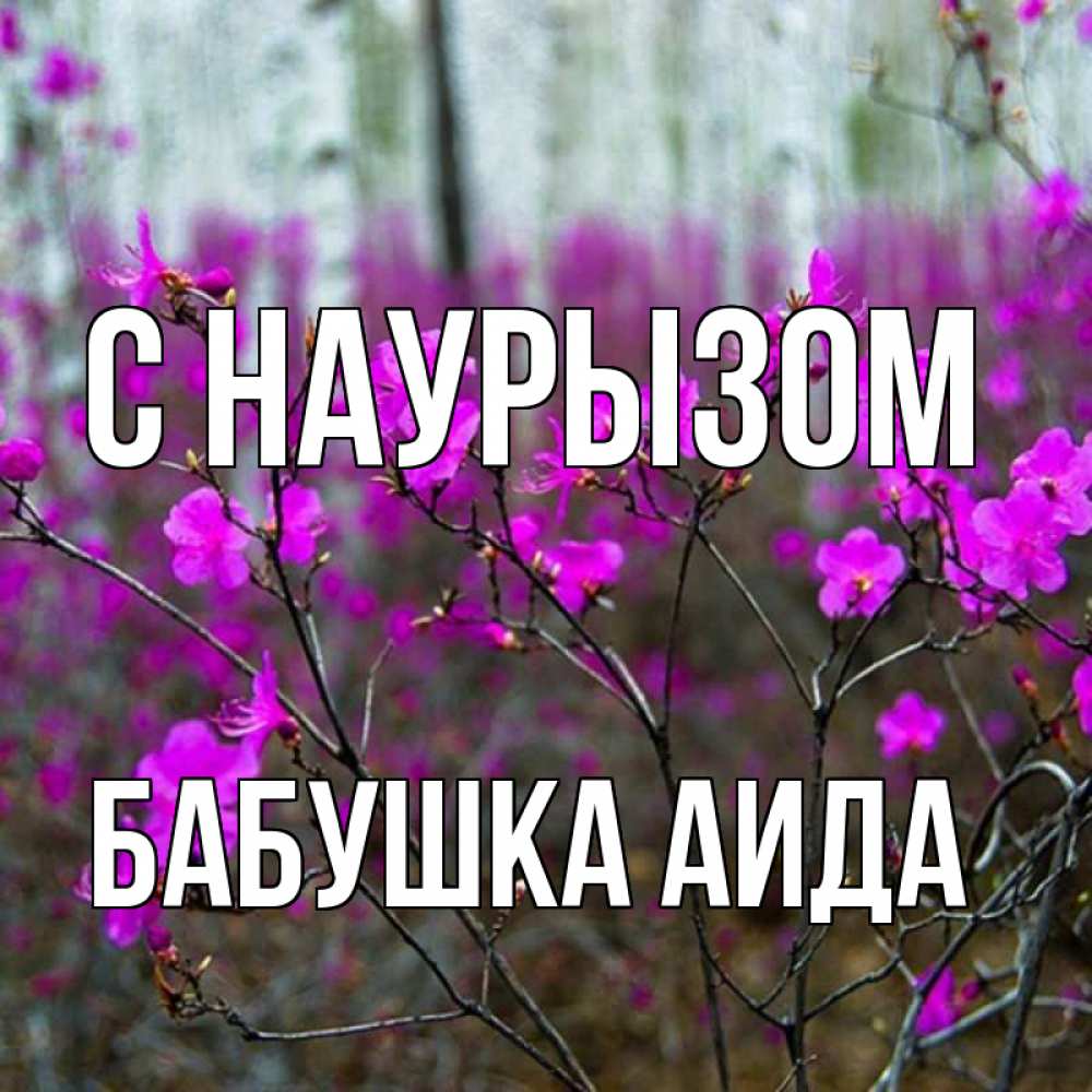 Открытка на каждый день с именем, Бабушка-Аида С наурызом дикие цветы Прикольная открытка с пожеланием онлайн скачать бесплатно 