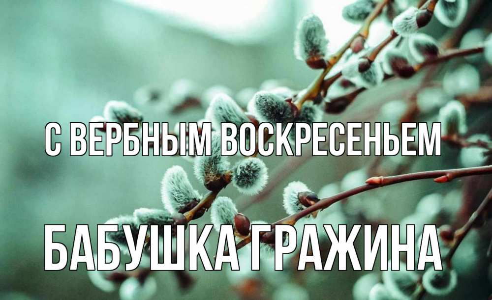 Открытка на каждый день с именем, Бабушка-Гражина С вербным воскресеньем верба Прикольная открытка с пожеланием онлайн скачать бесплатно 