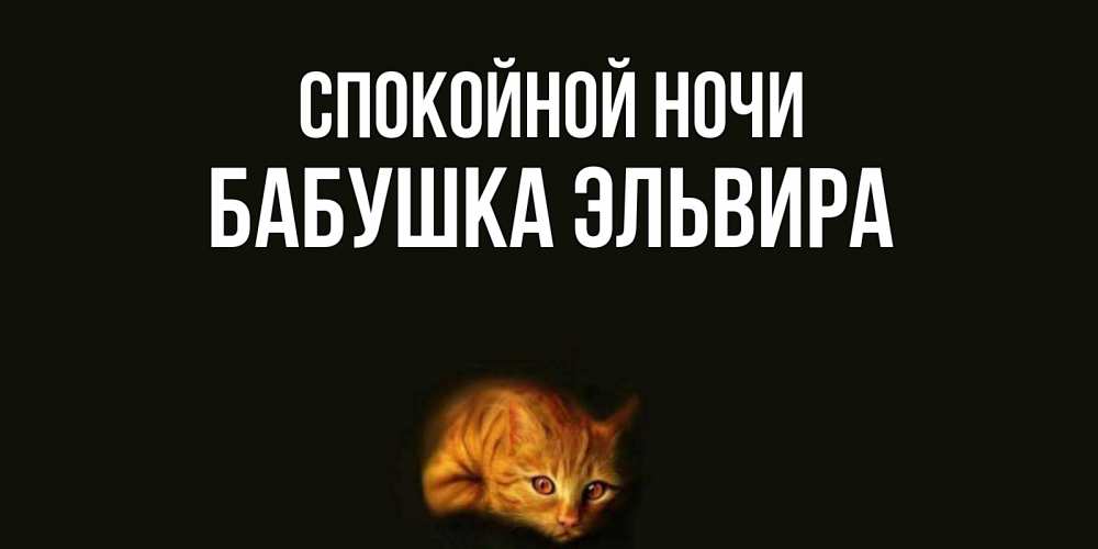 Открытка на каждый день с именем, Бабушка-Эльвира Спокойной ночи кот Прикольная открытка с пожеланием онлайн скачать бесплатно 