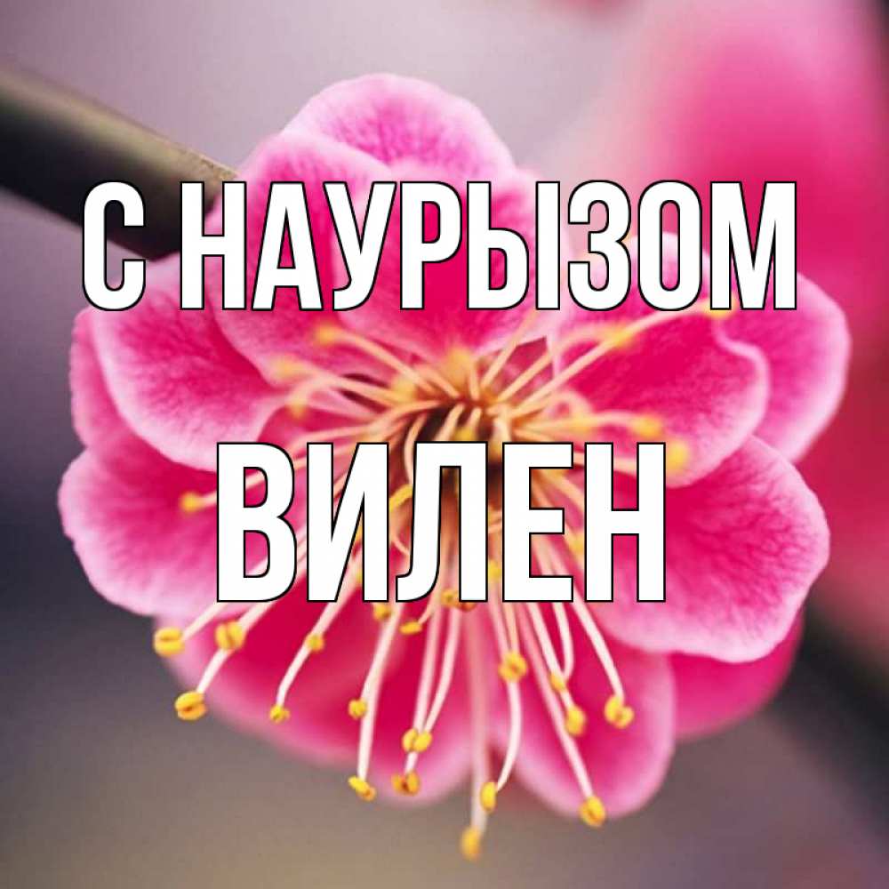Открытка на каждый день с именем, Вилен С наурызом цветы Прикольная открытка с пожеланием онлайн скачать бесплатно 