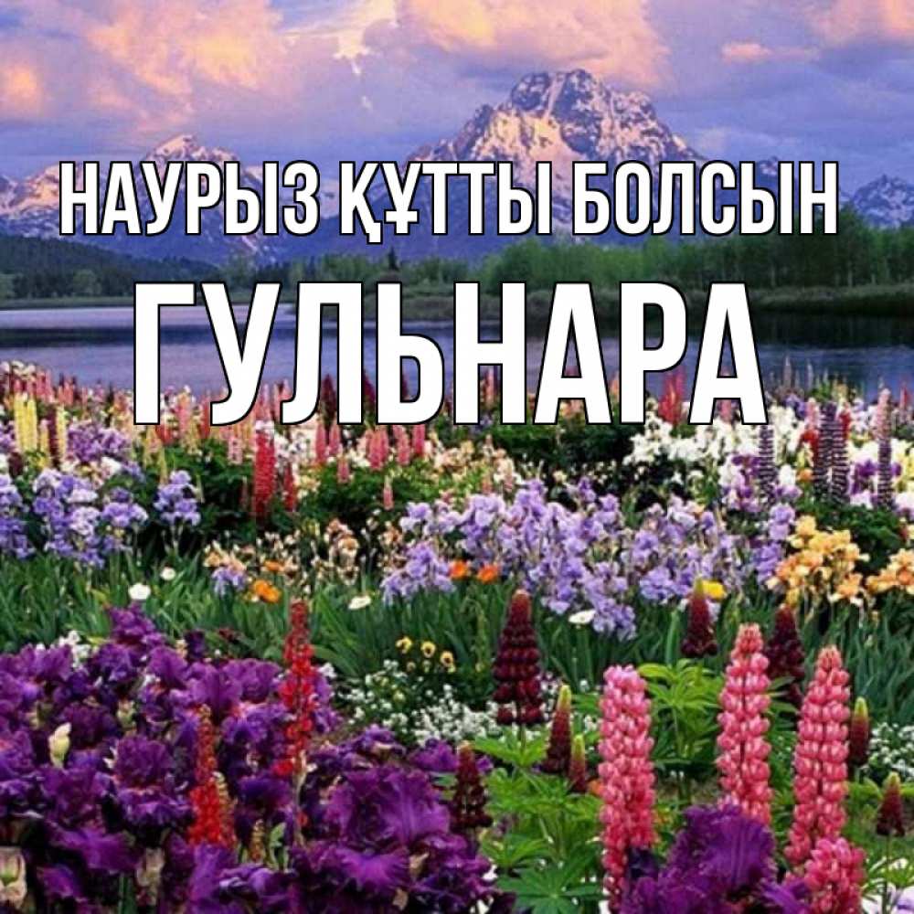 Открытка на каждый день с именем, Гульнара Наурыз құтты болсын наурыз Прикольная открытка с пожеланием онлайн скачать бесплатно 