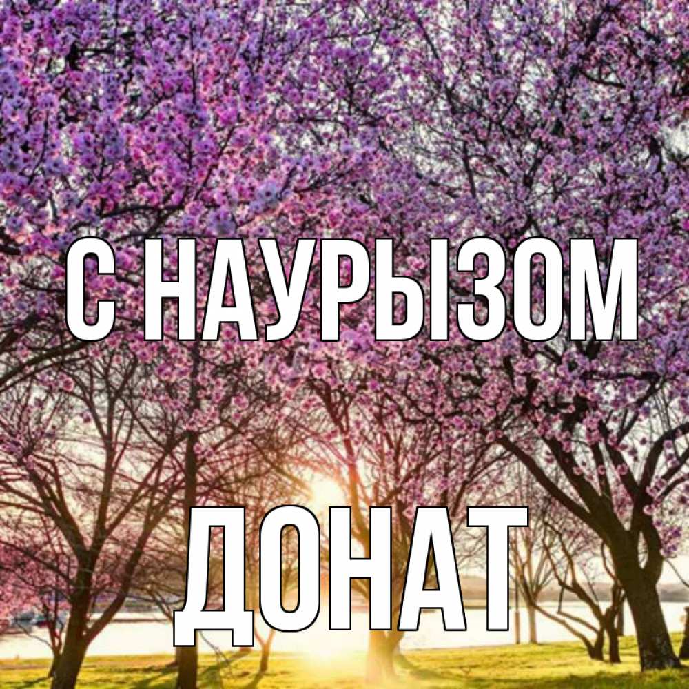 Открытка на каждый день с именем, Донат С наурызом праздник весны наурыз Прикольная открытка с пожеланием онлайн скачать бесплатно 