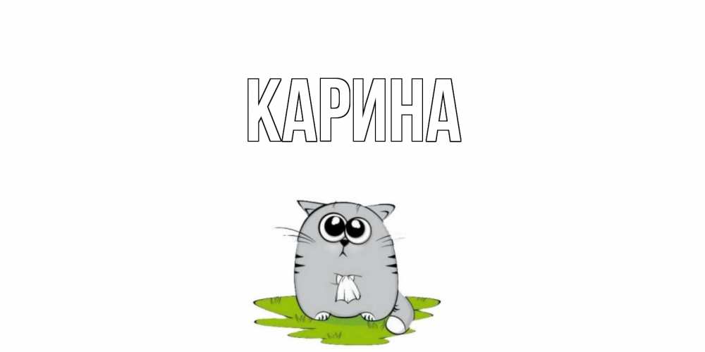Открытка на каждый день с именем, Карина Главная открытка с котиком просящим прощения Прикольная открытка с пожеланием онлайн скачать бесплатно 