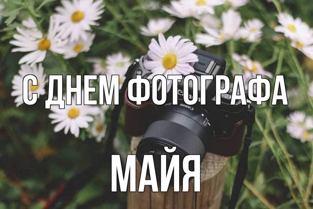 Открытка на каждый день с именем, Майя С днем фотографа с днем фотографа Прикольная открытка с пожеланием онлайн скачать бесплатно 