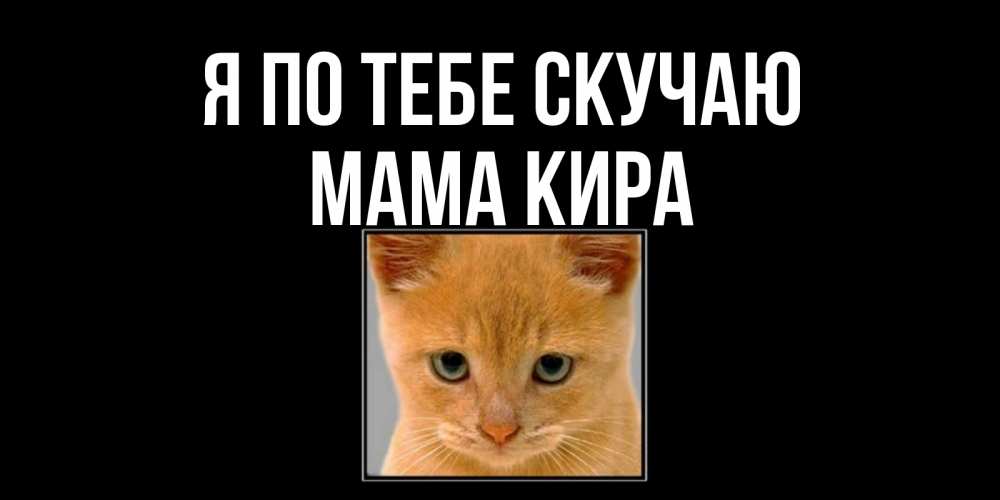 Открытка на каждый день с именем, Мама-Кира Я по тебе скучаю открытки рыжий котенок скучает по тебе Прикольная открытка с пожеланием онлайн скачать бесплатно 