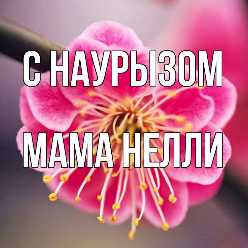 Открытка на каждый день с именем, Мама-Нелли С наурызом цветы Прикольная открытка с пожеланием онлайн скачать бесплатно 