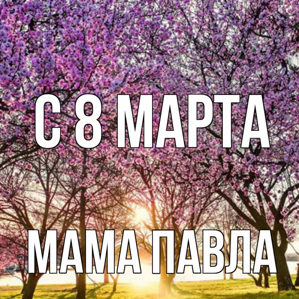 Открытка на каждый день с именем, Мама-Павла С 8 МАРТА международный женский день Прикольная открытка с пожеланием онлайн скачать бесплатно 