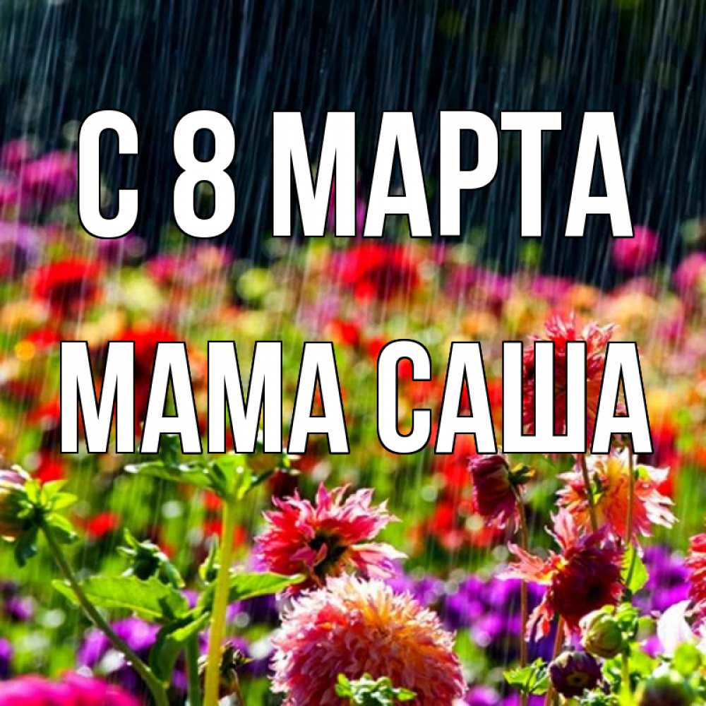 Открытка на каждый день с именем, Мама-Саша С 8 МАРТА цветы под дождиком к международному женскому дню Прикольная открытка с пожеланием онлайн скачать бесплатно 