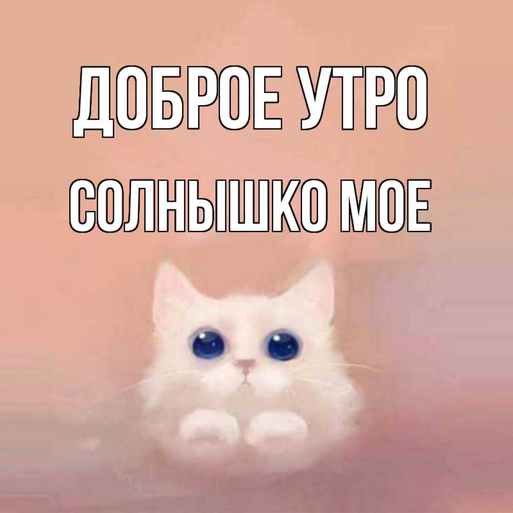 Открытка на каждый день с именем, СОЛНЫШКО-МОЕ Доброе утро на розовом фоне Прикольная открытка с пожеланием онлайн скачать бесплатно 