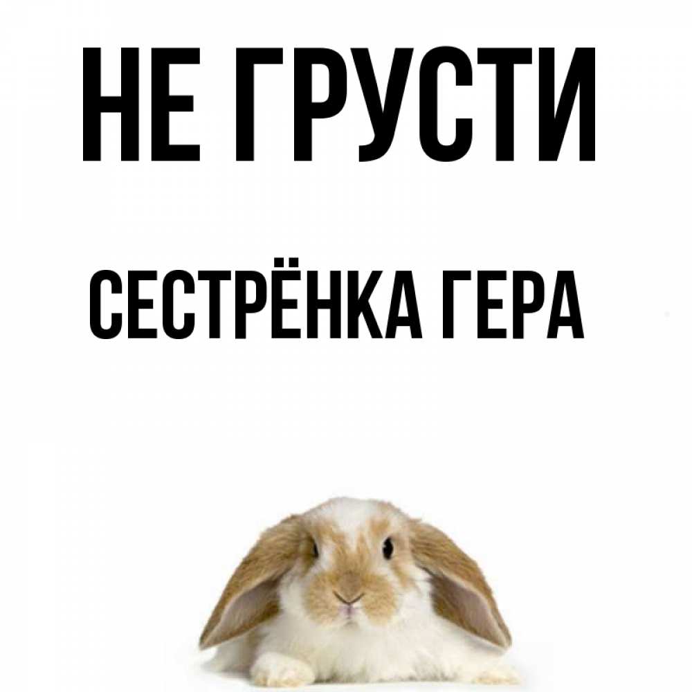 Открытка на каждый день с именем, Сестрёнка-Гера Не грусти коричнево белый заяц с большими ушками Прикольная открытка с пожеланием онлайн скачать бесплатно 