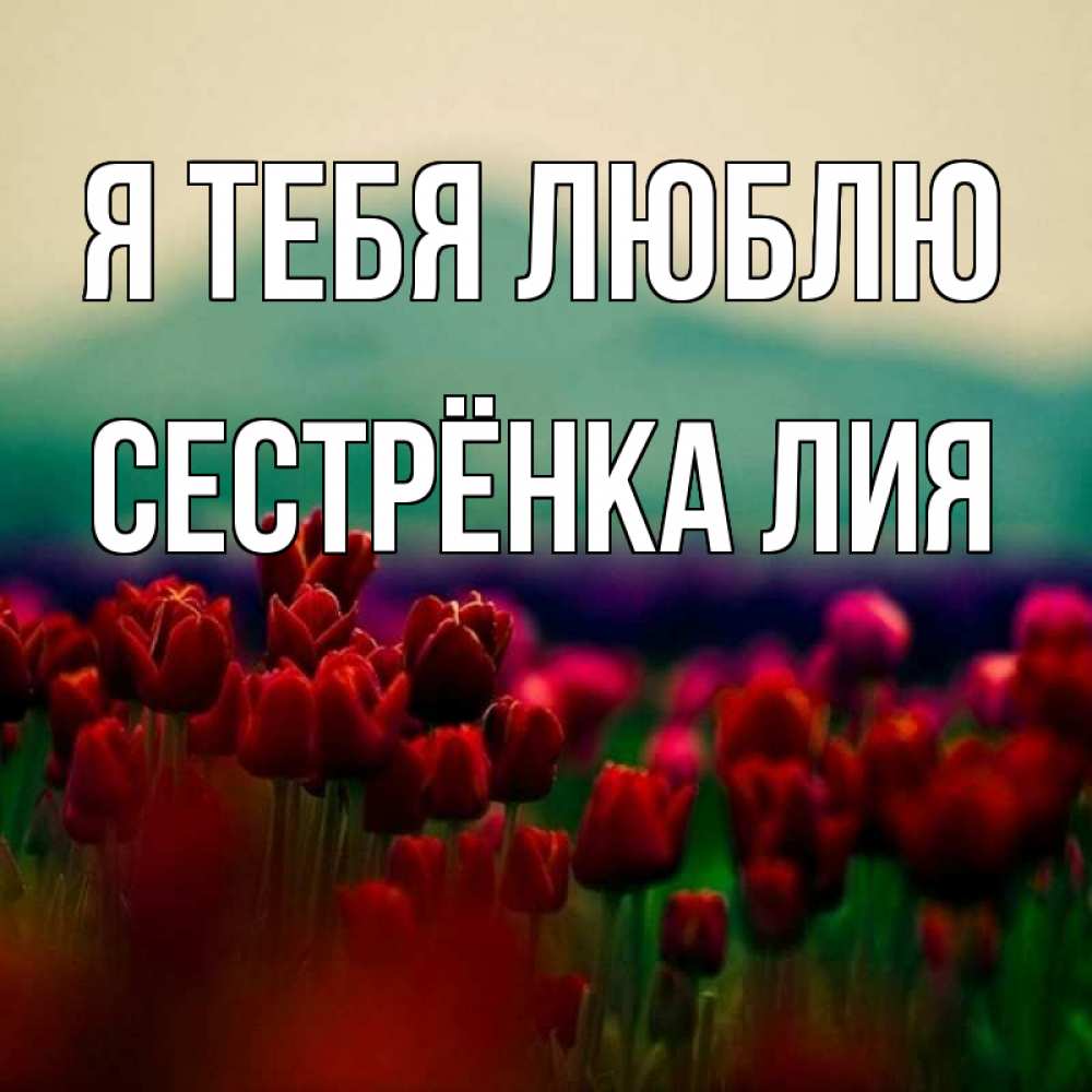 Открытка на каждый день с именем, Сестрёнка-Лия Я тебя люблю тюльпаны 4 Прикольная открытка с пожеланием онлайн скачать бесплатно 
