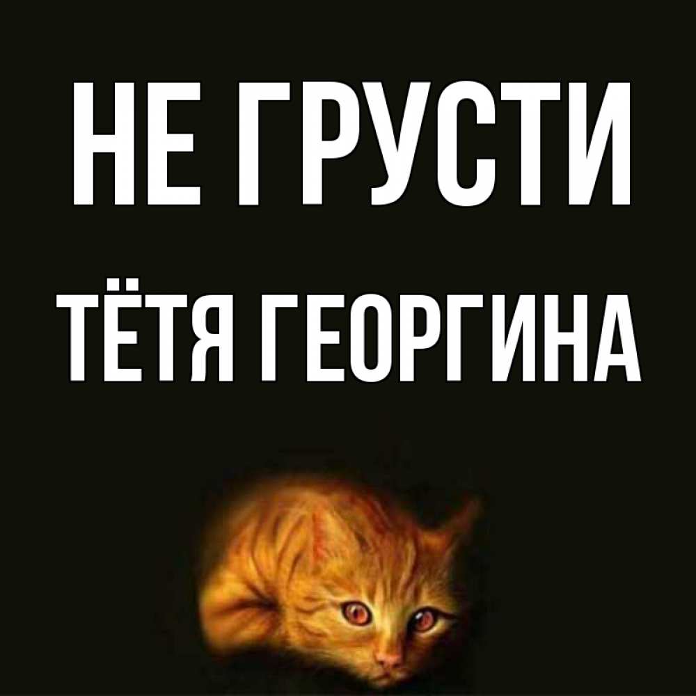 Открытка на каждый день с именем, Тётя-Георгина Не грусти лежащий кот в темноте Прикольная открытка с пожеланием онлайн скачать бесплатно 