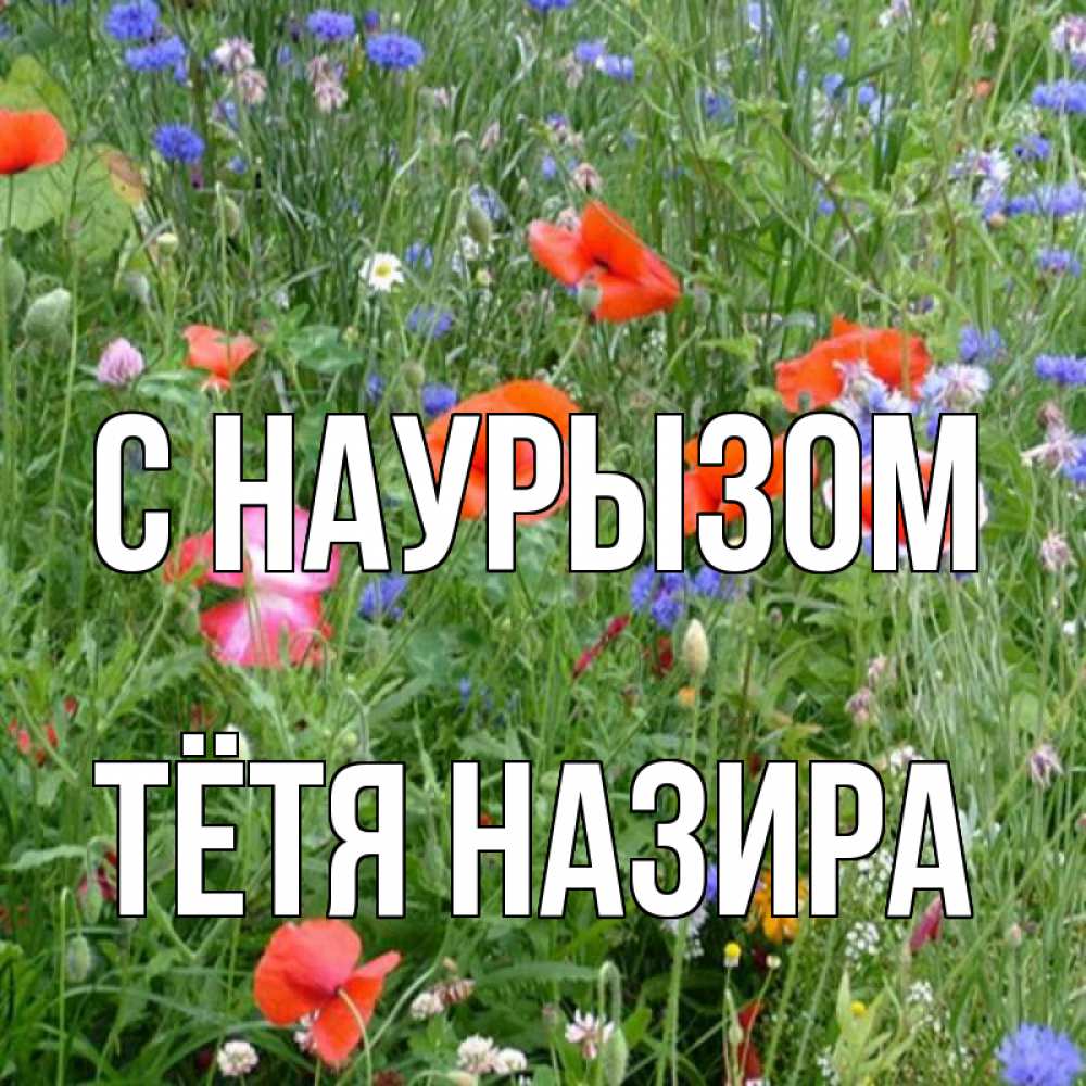 Открытка на каждый день с именем, Тётя-Назира С наурызом праздник весны наурыз супер открытка Прикольная открытка с пожеланием онлайн скачать бесплатно 