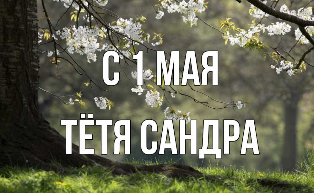 Открытка на каждый день с именем, Тётя-Сандра С 1 мая С 1 мая Прикольная открытка с пожеланием онлайн скачать бесплатно 